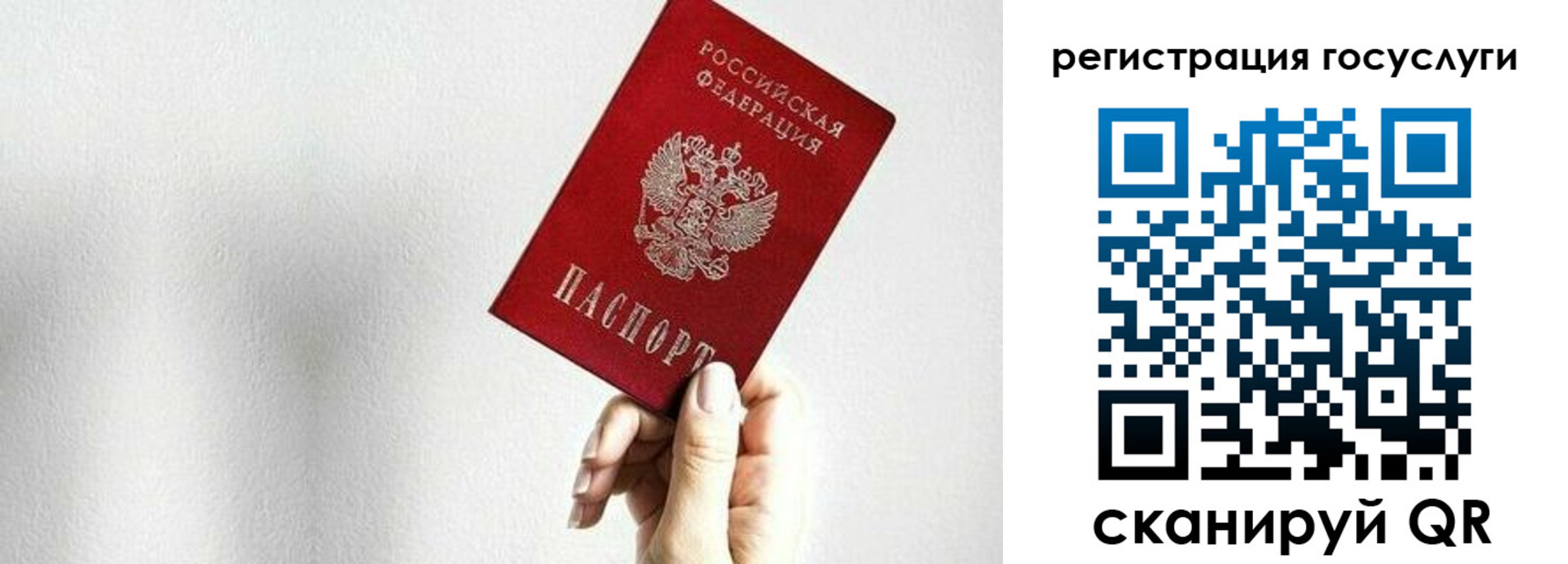 прописка гарантия в Кораблино